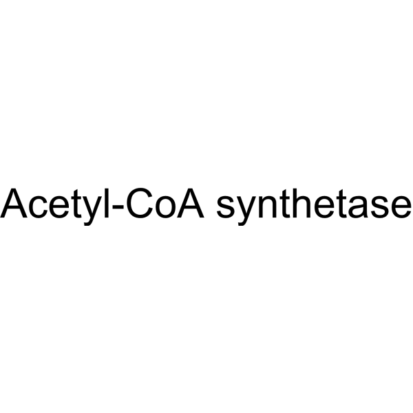 Acetyl-CoA synthetase Chemical Structure