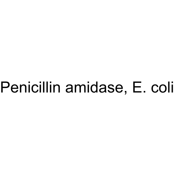 Penicillin amidase, E. coli Chemical Structure