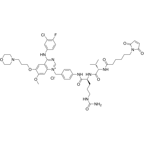 Mc-Val-Cit-PAB-Gefitinib chloride  Chemical Structure