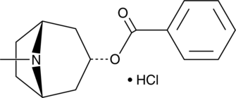 3α-Benzoyloxytropane (hydrochloride) Chemical Structure