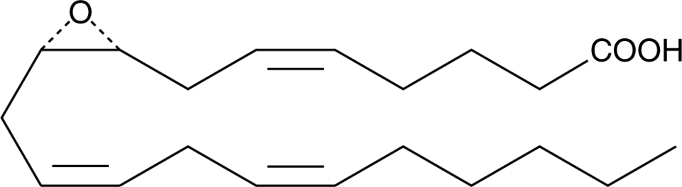 8R(9S)-EET Chemische Struktur