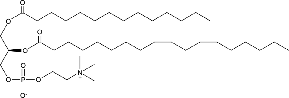 1-Myristoyl-2-Linoleoyl-sn-glycero-3-PC 化学構造