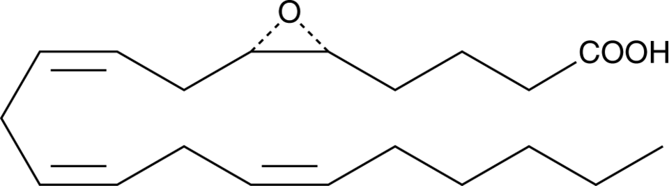 5R(6S)-EET Chemische Struktur