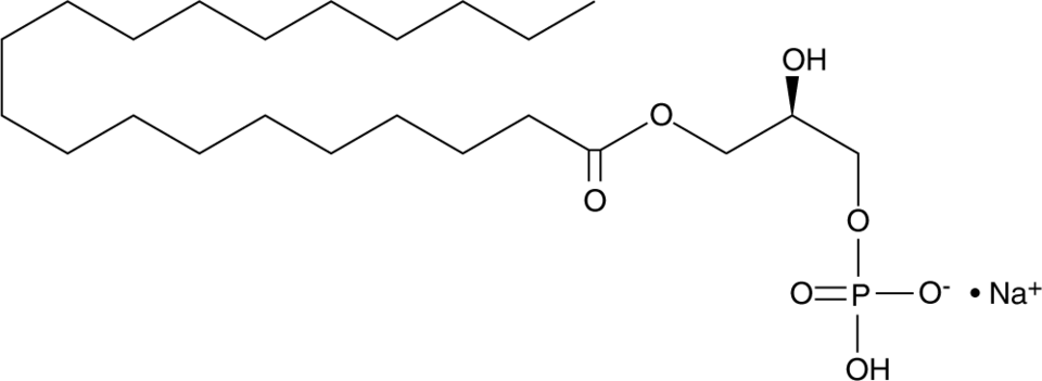 1-Arachidoyl-2-hydroxy-sn-glycero-3-PA (sodium salt) Chemical Structure