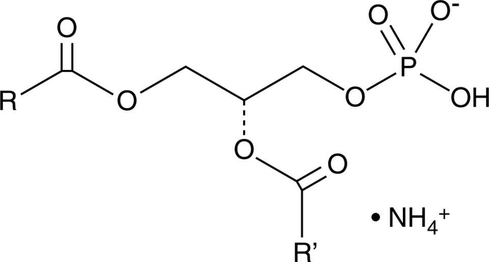 Phosphatidic Acids (ammonium salt) Chemische Struktur