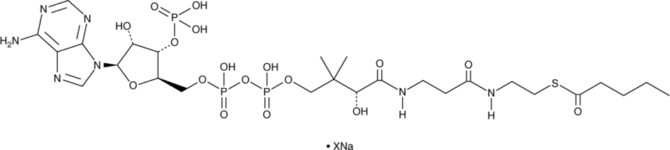 Pentanoyl-Coenzyme A (sodium salt) Chemical Structure