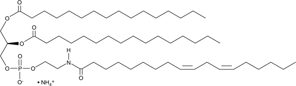 N-Linoleoyl-DPPE (ammonium salt) التركيب الكيميائي