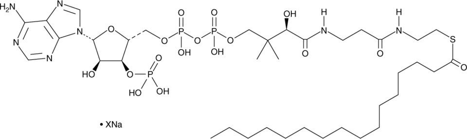 Palmitoyl-Coenzyme A (sodium salt) Chemical Structure