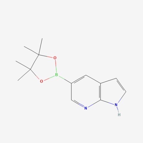 7-Azaindole-5-boronic acid pinacol ester Chemical Structure