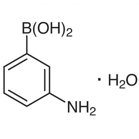 3-Aminophenylboronic Acid Monohydrate (contains varying amounts of Anhydride) 化学構造