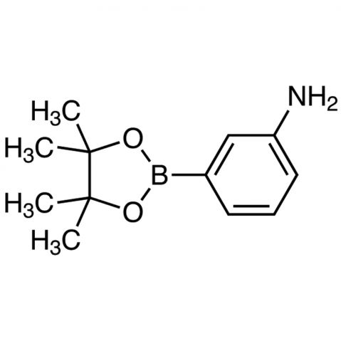 3-Aminophenylboronic acid pinacol ester Chemical Structure