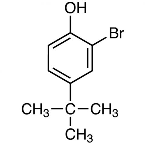 2-Bromo-4-tert-butylphenol 化学構造