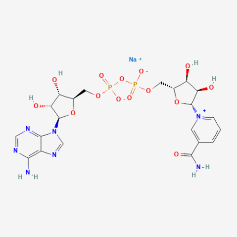 β-Nicotinamide adenine dinucleotide sodium salt Chemical Structure