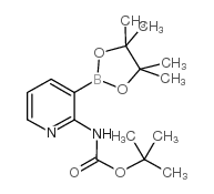 2-(Boc-amino)pyridine-3-boronic acid pinacol ester Chemical Structure