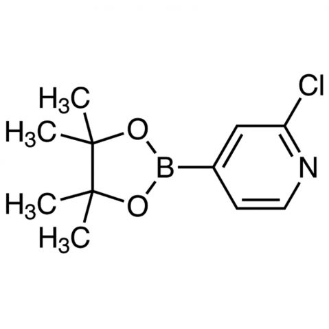 2-Chloropyridine-4-boronic acid pinacol ester Chemical Structure