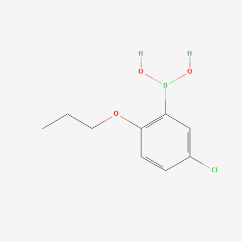 5-Chloro-2-propoxyphenylboronic acid التركيب الكيميائي