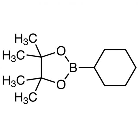 2-Cyclohexyl-4,4,5,5-tetramethyl -1,3,2-dioxaborolane Chemische Struktur