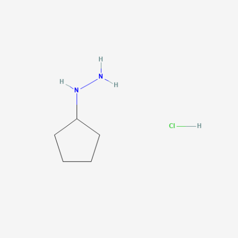 Cyclopentyl-hydrazine hydrochloride Chemical Structure