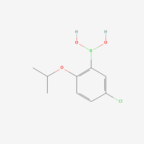 5-Chloro-2-isopropoxyphenylboronic acid(contains varying amounts of Anhydride) Chemical Structure