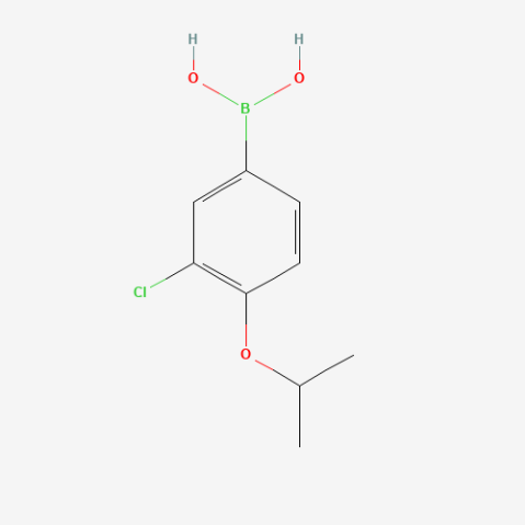 3-Chloro-4-isopropoxyphenylboronic acid التركيب الكيميائي