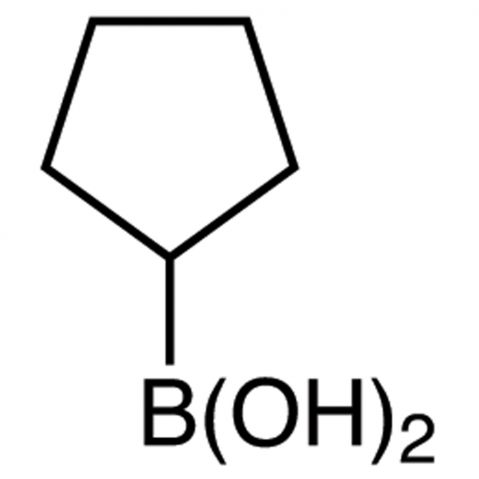 Cyclopentylboronic acid (contains varying amounts of Anhydride) 化学構造