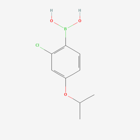 (2-Chloro-4-isopropoxyphenyl)boronic acid التركيب الكيميائي