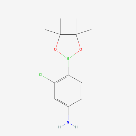 4-Amino-2-chlorophenylboronic acid pinacol ester Chemische Struktur