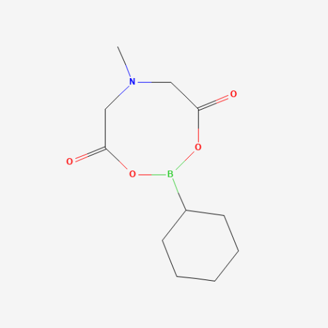 Cyclohexylboronic acid MIDA ester Chemical Structure