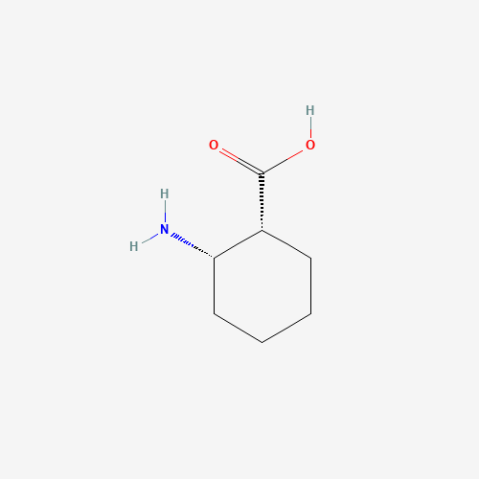 cis-2-Amino-1-cyclohexanecarboxylic acid Chemische Struktur