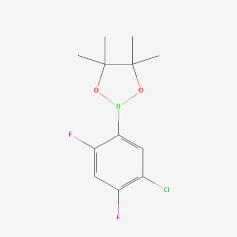 5-Chloro-2,4-difluorophenylboronic acid pinacol ester التركيب الكيميائي