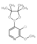 3-Chloro-2-methoxypyridine-4-boronic acid pinacol ester Chemische Struktur