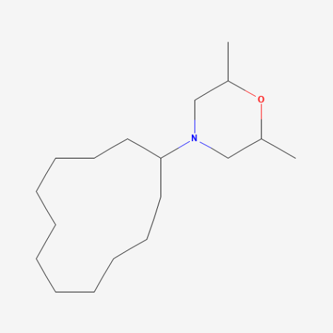 Dodemorph Chemical Structure