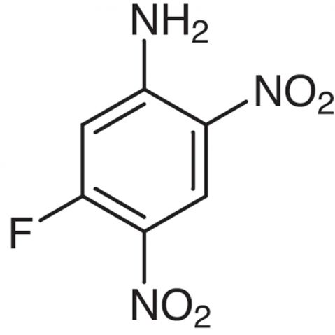 2,4-Dinitro-5-fluoroaniline التركيب الكيميائي