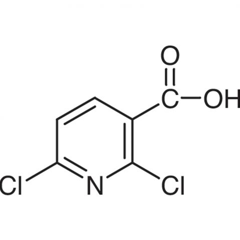 2,6-Dichloropyridine-3-carboxylic acid Chemical Structure