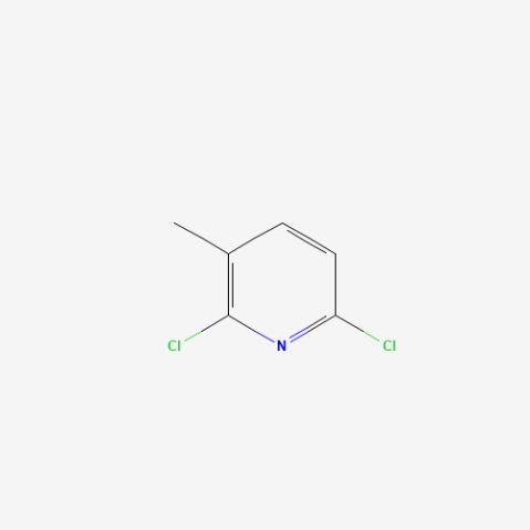 2,6-Dichloro-3-methylpyridine, 98% التركيب الكيميائي