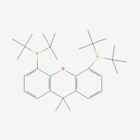 9,9-Dimethyl-4,5-bis(di-tert-butylphosphino)xanthene Chemical Structure