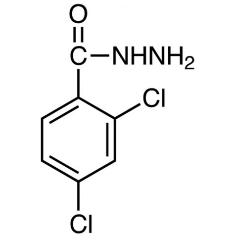 2,4-Dichlorobenzohydrazide 化学構造