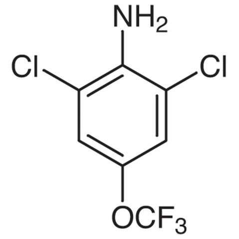 2,6-Dichloro-4-(trifluoromethoxy)aniline التركيب الكيميائي