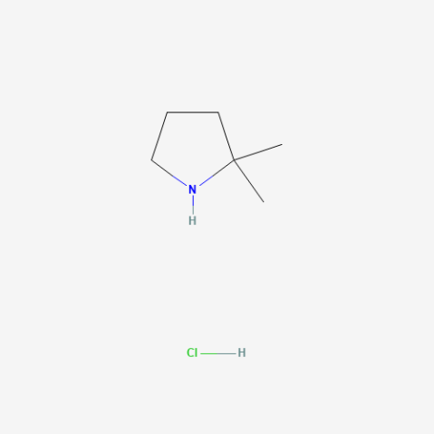 2,2-dimethylpyrrolidine hydrochloride Chemical Structure