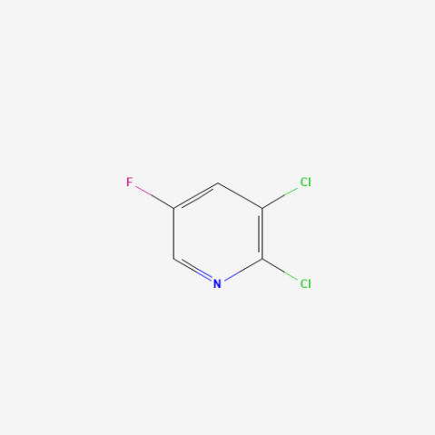 2,3-Dichloro-5-fluoropyridine التركيب الكيميائي