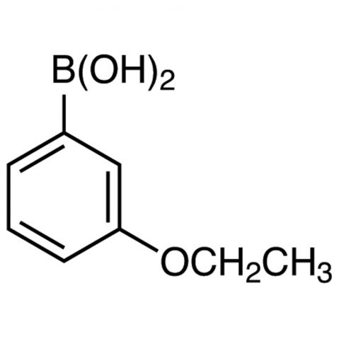 3-Ethoxyphenylboronic acid التركيب الكيميائي