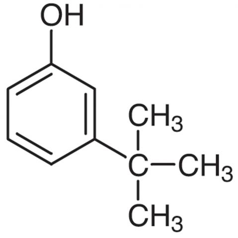 3-tert-Butylphenol Chemical Structure