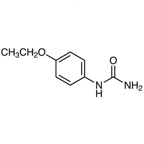 (4-Ethoxyphenyl)urea التركيب الكيميائي