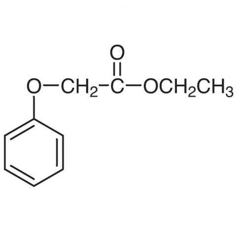 Ethyl Phenoxyacetate 化学構造