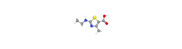 2-(Ethylamino)-4-methyl-1,3-thiazole-5-carboxylic acid Chemical Structure