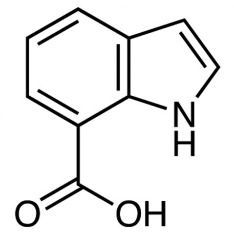 1H-indole-7-carboxylic acid Chemical Structure