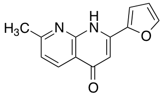 Hemoglobin 化学構造