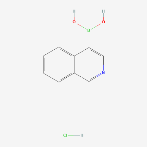 4-Isoquinolineboronic acid hydrochloride 化学構造