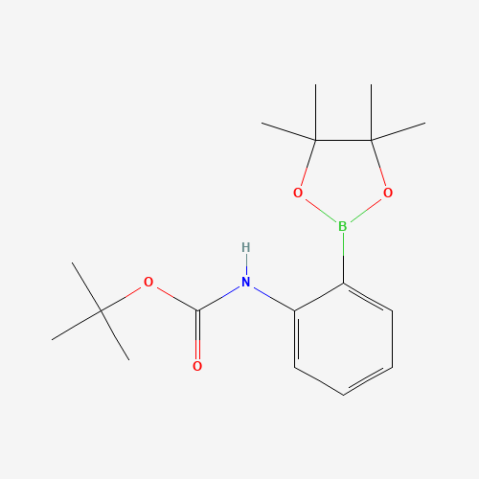 2-(N-Boc-amino)phenylboronic acid pinacol ester التركيب الكيميائي