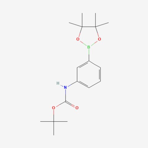 3-(N-Boc-amino)phenylboronic acid pinacol ester التركيب الكيميائي